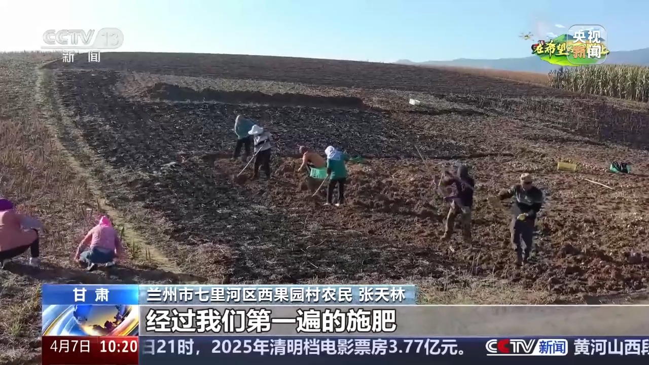 、百合种植新技术……清明时节农事忙AG真人中国让麦田喝上“聪明水”(图5)
