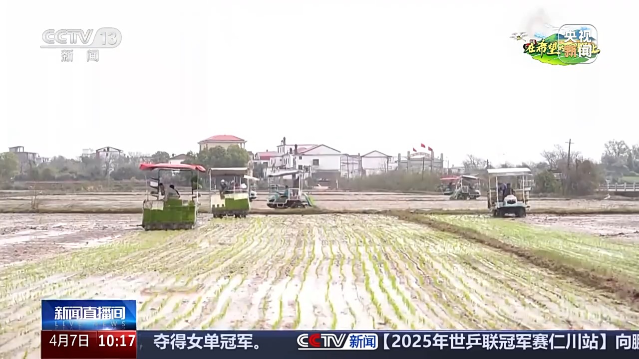 、百合种植新技术……清明时节农事忙AG真人中国让麦田喝上“聪明水”(图6)