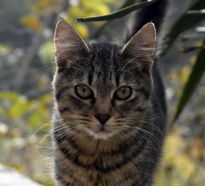 人愿意花钱了？5条赛道正闷声发大财！AG真人百家乐中国进入低欲望时代没(图12)