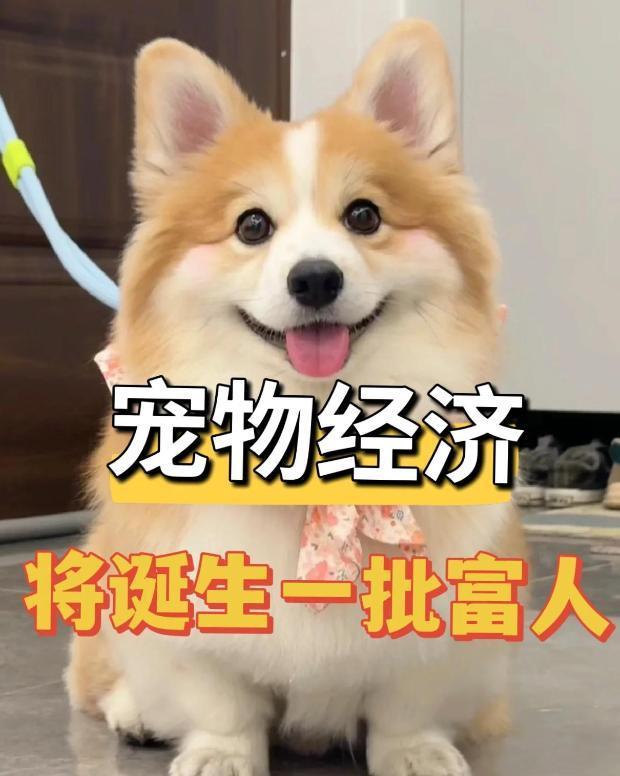 人愿意花钱了？5条赛道正闷声发大财！AG真人百家乐中国进入低欲望时代没(图14)